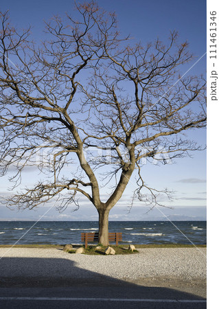 あのベンチと琵琶湖湖畔(横構図21) あのベンチと琵琶湖湖畔(横構図21) 111461346