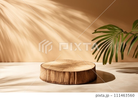 Empty minimal natural wooden podium background for product Empty minimal natural wooden podium background for product 111463560