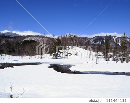 雪解け間近で晴れた日の、早春の乗鞍高原・一の瀬園地の「どじょう池」 雪解け間近で晴れた日の、早春の乗鞍高原・一の瀬園地の「どじょう池」 111464151