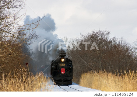 湿原を走り抜けるSL 111465324
