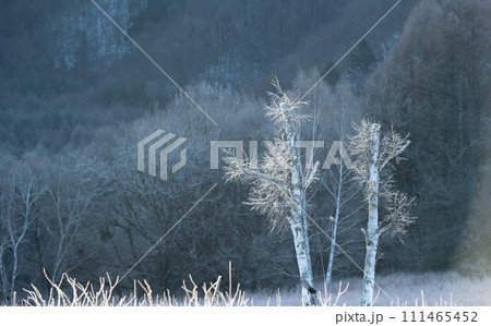 冬の絶景　美しい霧氷 111465452