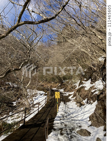 筑波山_残雪の女体山_雪の残る山頂への階段 筑波山_残雪の女体山_雪の残る山頂への階段 111465605