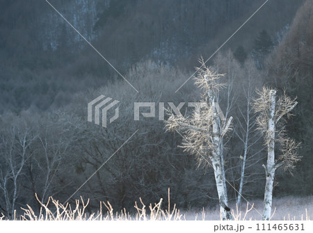 冬の絶景　美しい霧氷 111465631