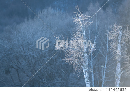 冬の絶景　美しい霧氷 111465632