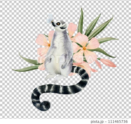 Adorable lemur with blue butterfly on its nose with tropical pastel peach pink oleander flowers watercolor illustration isolated on white background. Hand drawn cute animal with long tail Adorable lemur with blue butterfly on its nose with tropical pastel peach pink oleander flowers watercolor illustration isolated on white background. Hand drawn cute animal with long tail 111465736