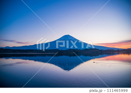 （静岡県）冬の田貫湖から望む富士山　夜明け 111465999