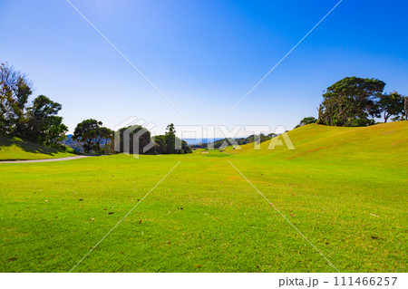 爽やかな青空のゴルフ場・丘のロングコースを海を眺めながらラウンド（神奈川県湯河原町） 111466257