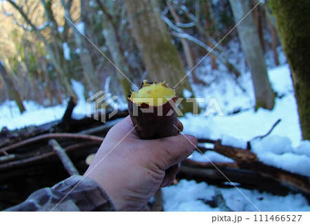 雪中キャンプで焼き芋 雪中キャンプで焼き芋 111466527