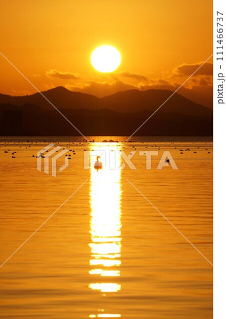 島根県松江市の宍道湖に沈む夕日と水鳥達 島根県松江市の宍道湖に沈む夕日と水鳥達 111466737