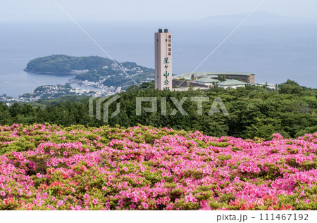 湯河原町　星ヶ山公園　さつきの郷 111467192