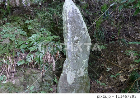 宿谷の滝　　　（埼玉県毛呂山町） 111467295