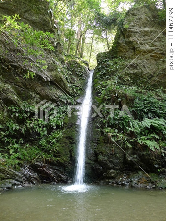 宿谷の滝 (埼玉県毛呂山町) 宿谷の滝 (埼玉県毛呂山町) 111467299