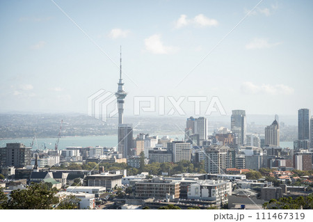 Central business district in a city with big tower dominating the cityscape, Auckland, New Zealand 111467319