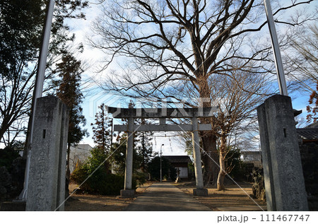 埼玉県深谷市のパワースポット 上敷免諏訪神社 埼玉県深谷市のパワースポット 上敷免諏訪神社 111467747