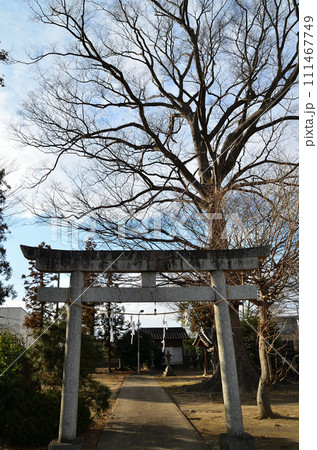 埼玉県深谷市のパワースポット 上敷免諏訪神社 埼玉県深谷市のパワースポット 上敷免諏訪神社 111467749