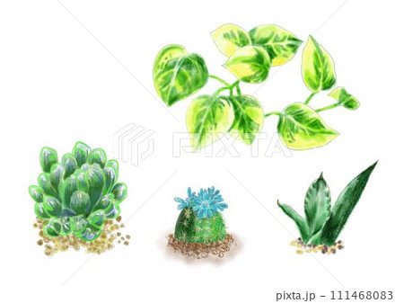 水彩で描いた観葉植物のイラストセット 111468083