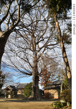 埼玉県深谷市のパワースポット 上敷免諏訪神社 埼玉県深谷市のパワースポット 上敷免諏訪神社 111468883