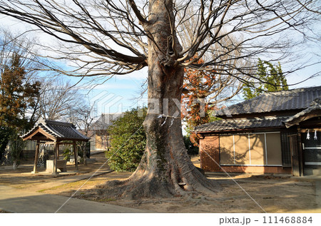 埼玉県深谷市のパワースポット 上敷免諏訪神社 埼玉県深谷市のパワースポット 上敷免諏訪神社 111468884