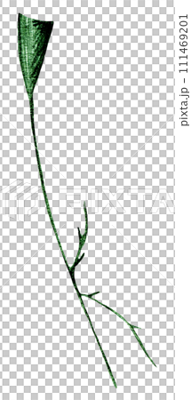 Green Hand Drawn Flower Leaves Isolated on White Background. Green Hand Drawn Flower Leaves Isolated on White Background. 111469201