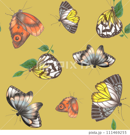 Seamless Pattern with Colorful Butterflies on Yellow Background. 111469255