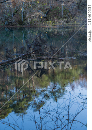 日本 福島県耶麻郡北塩原村、裏磐梯高原の五色沼湖沼群の毘沙門沼 日本 福島県耶麻郡北塩原村、裏磐梯高原の五色沼湖沼群の毘沙門沼 111469353