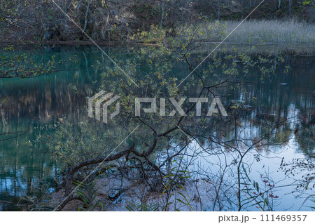 日本 福島県耶麻郡北塩原村、裏磐梯高原の五色沼湖沼群の毘沙門沼 日本 福島県耶麻郡北塩原村、裏磐梯高原の五色沼湖沼群の毘沙門沼 111469357