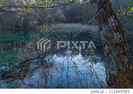 日本 福島県耶麻郡北塩原村、裏磐梯高原の五色沼湖沼群の毘沙門沼 日本 福島県耶麻郡北塩原村、裏磐梯高原の五色沼湖沼群の毘沙門沼 111469361