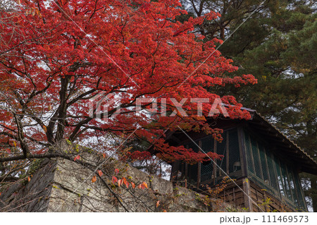 日本 福島県会津若松市の鶴ヶ城城址公園内の紅葉 日本 福島県会津若松市の鶴ヶ城城址公園内の紅葉 111469573