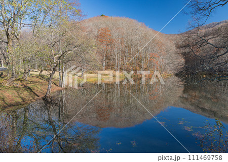 日本 福島県耶麻郡北塩原村、裏磐梯高原の曲沢沼の水鏡に映るほとりの風景 日本 福島県耶麻郡北塩原村、裏磐梯高原の曲沢沼の水鏡に映るほとりの風景 111469758