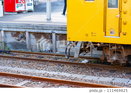 山口県　宇部新川駅　宇部市　宇部線　山陽地方　自然　観光　旅行　午前　昼　鉄道　電車　駅　ホーム 111469825
