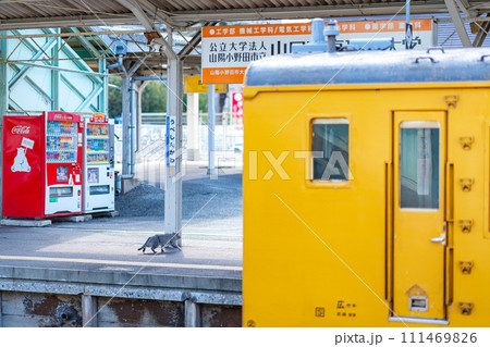 山口県 宇部新川駅 宇部市 宇部線 山陽地方 自然 観光 旅行 午前 昼 鉄道 電車 駅 ホーム 山口県 宇部新川駅 宇部市 宇部線 山陽地方 自然 観光 旅行 午前 昼 鉄道 電車 駅 ホーム 111469826