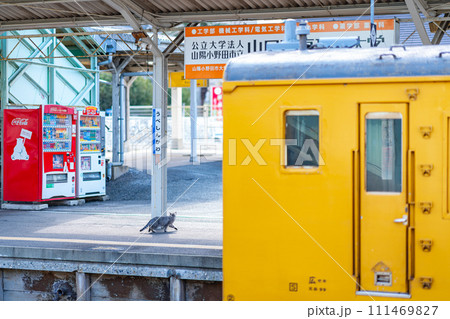 山口県　宇部新川駅　宇部市　宇部線　山陽地方　自然　観光　旅行　午前　昼　鉄道　電車　駅　ホーム 111469827