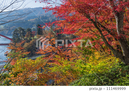 日本　福島県河沼郡柳津町にある福満虚空蔵菩薩、円蔵寺の紅葉 111469999