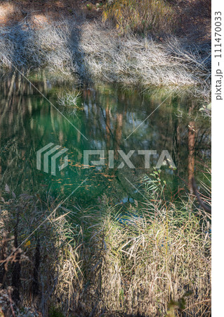 日本　福島県耶麻郡北塩原村、裏磐梯高原の五色沼湖沼群の青沼 111470033