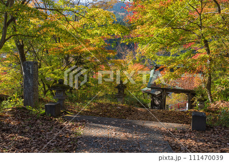日本　福島県河沼郡柳津町にある福満虚空蔵菩薩、円蔵寺の福満門と紅葉 111470039