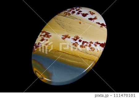 オワイヒー・ジャスパー 風景を宿す石 オワイヒー・ジャスパー 風景を宿す石 111470101