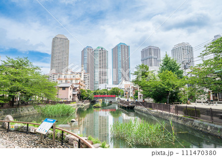 「東京都」佃公園から見るタワーマンション群 111470380