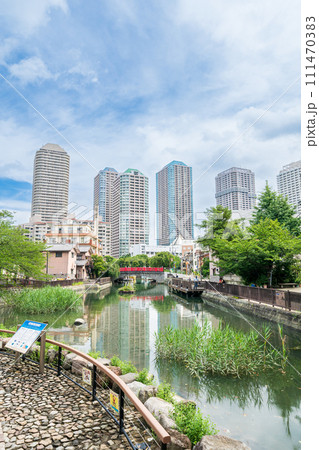 「東京都」佃公園から見るタワーマンション群 111470383