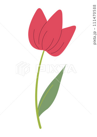 Beautiful red tulip isolated on white background. Vector graphics. Artwork design element. Cartoon design for poster, icon, card, logo, label. Beautiful red tulip isolated on white background. Vector graphics. Artwork design element. Cartoon design for poster, icon, card, logo, label. 111470588