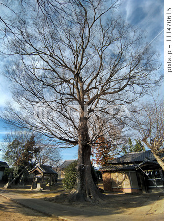 埼玉県深谷市のパワースポット　上敷免諏訪神社 111470615