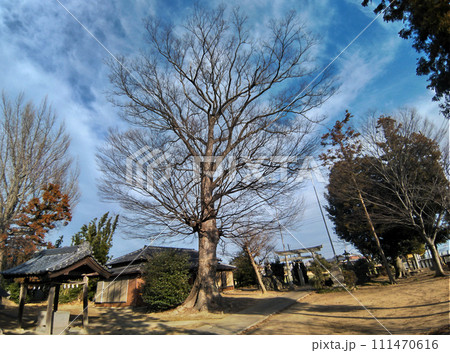 埼玉県深谷市のパワースポット 上敷免諏訪神社 埼玉県深谷市のパワースポット 上敷免諏訪神社 111470616
