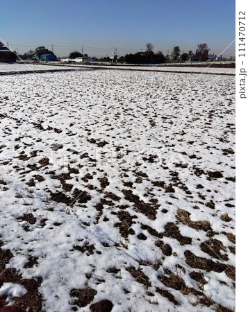 晩冬の近郊の雪解けの朝の田圃風景 晩冬の近郊の雪解けの朝の田圃風景 111470712