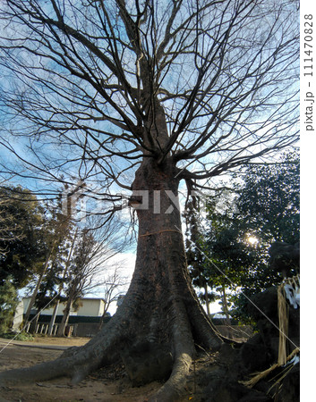 埼玉県深谷市のパワースポット 上敷免諏訪神社 埼玉県深谷市のパワースポット 上敷免諏訪神社 111470828