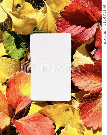 秋のイメージ_カラフルな落ち葉と白いカードの秋のフレーム 秋のイメージ_カラフルな落ち葉と白いカードの秋のフレーム 111471144