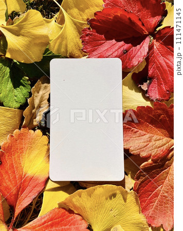 秋のイメージ_カラフルな落ち葉と白いカードの秋のフレーム 111471145