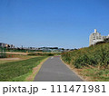 晴れた日の散歩道 111471981