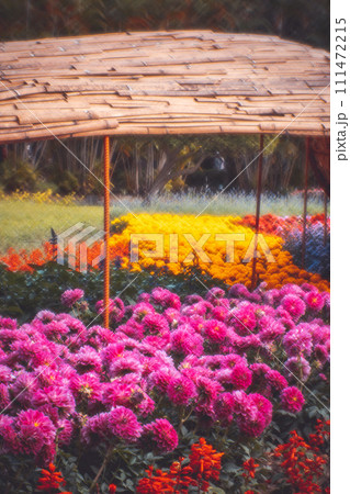 花 フラワー お花 111472215