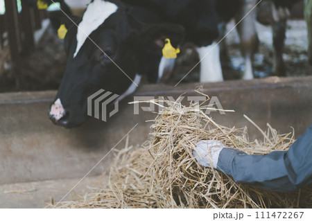 ranch ranch 111472267