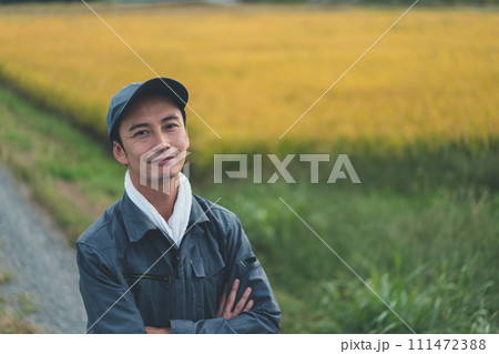 rice farming rice farming 111472388
