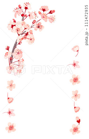 Watercolor hand drawn pink sakura flower vertical frame isolated on  111472935